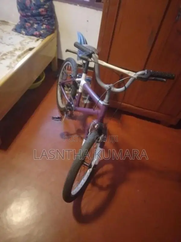 Kids සියල්ල සදා ඇත හොදම තත්වයේ
