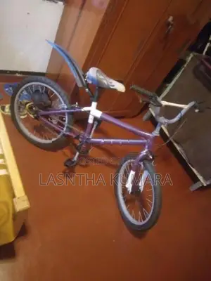 Kids සියල්ල සදා ඇත හොදම තත්වයේ