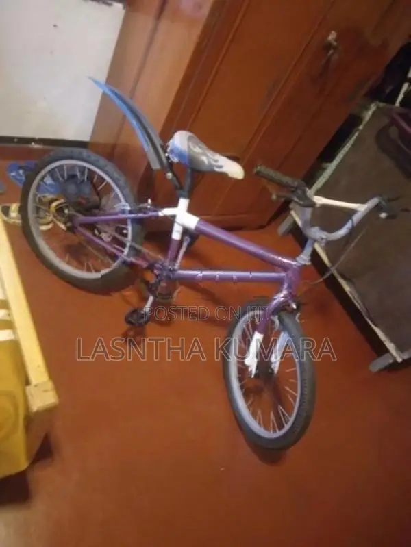 Kids සියල්ල සදා ඇත හොදම තත්වයේ