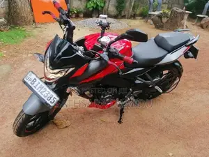 Bajaj Pulsar NS200 2019