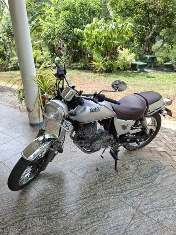 Suzuki 2008