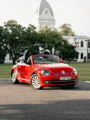 Volkswagen Beetle 2014