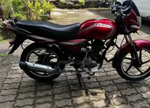 Bajaj Platina 2010