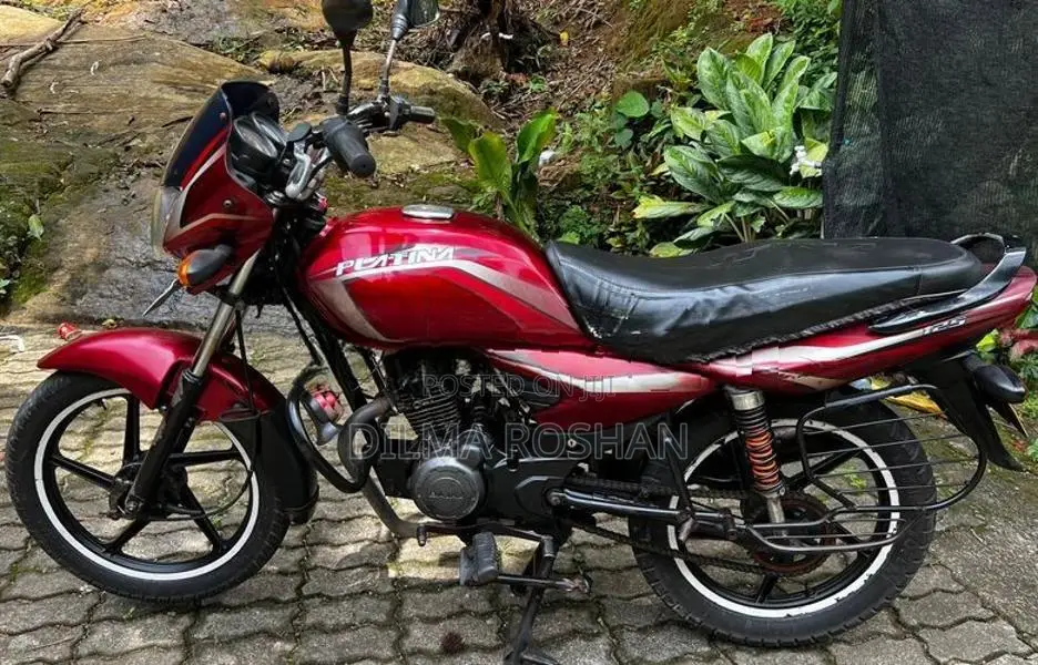 Bajaj Platina 2010