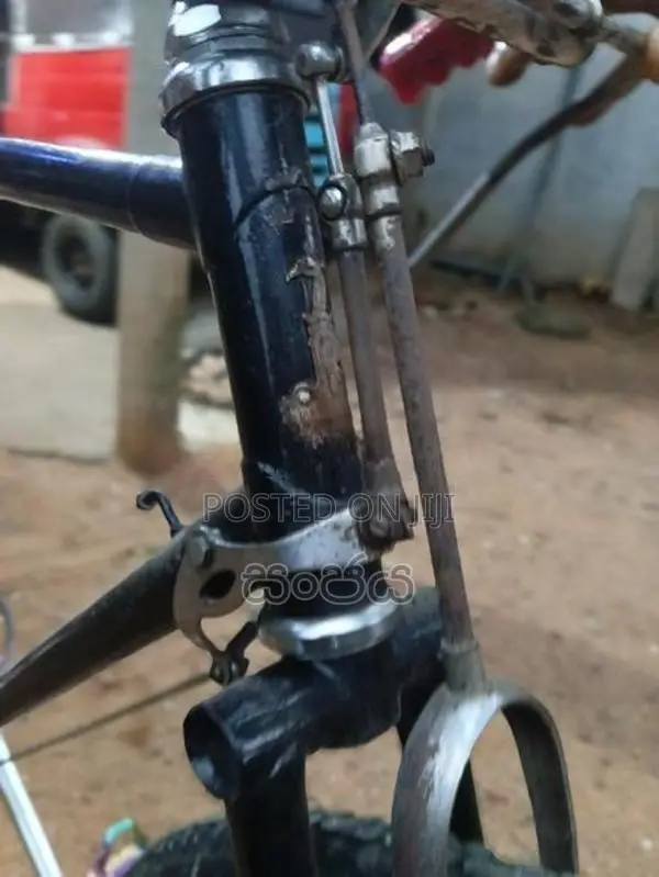 Raleigh විකිණිමට අැත
