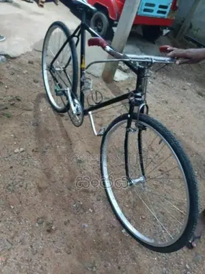 Raleigh විකිණිමට අැත