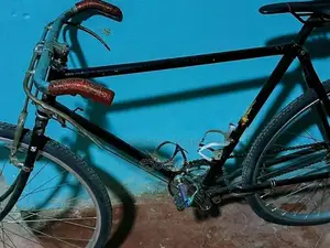 Raleigh විකිණිමට අැත