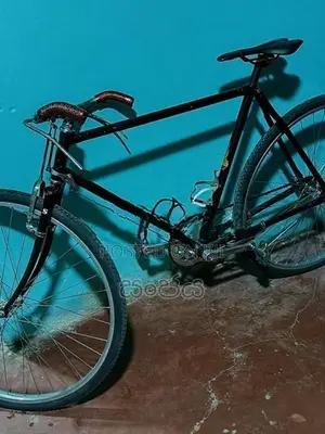 Raleigh විකිණිමට අැත