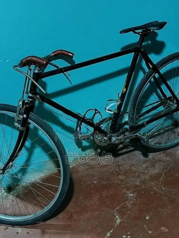Raleigh විකිණිමට අැත