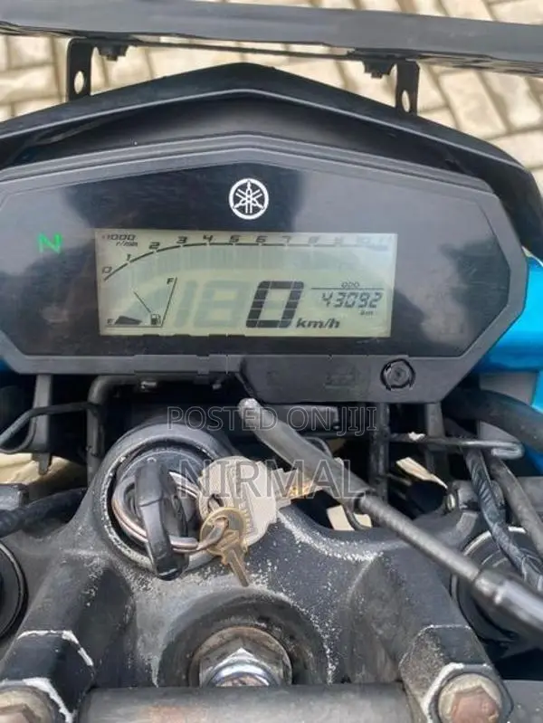 Yamaha FZ25 2019