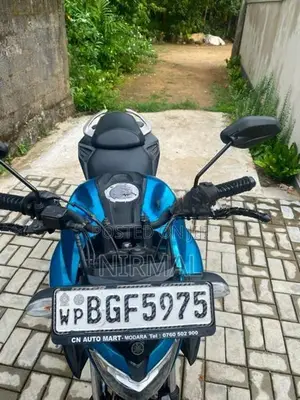 Yamaha FZ25 2019