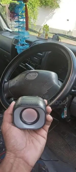 Car Voice Module