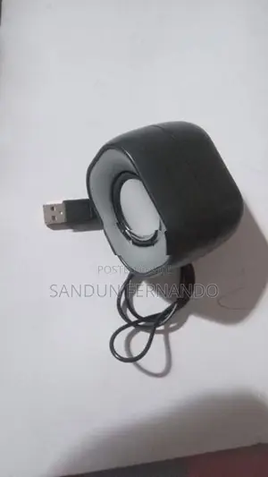 Car Voice Module