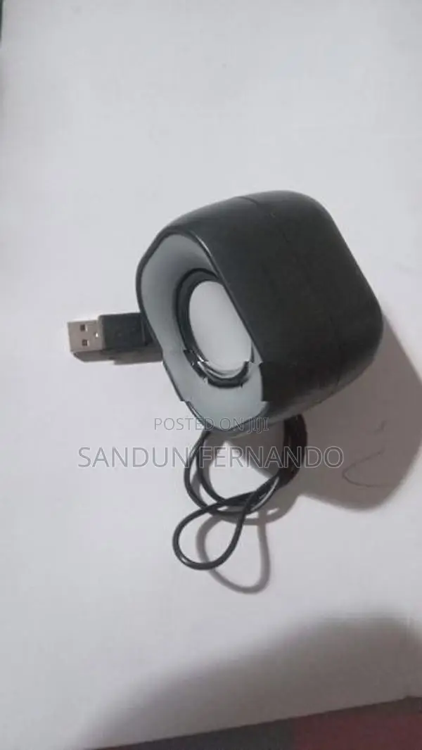 Car Voice Module