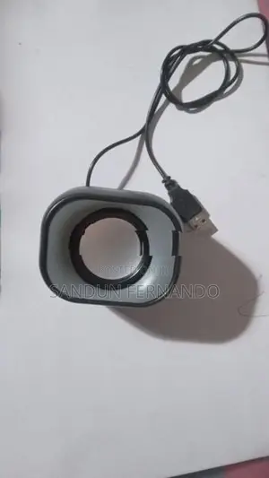 Car Voice Module