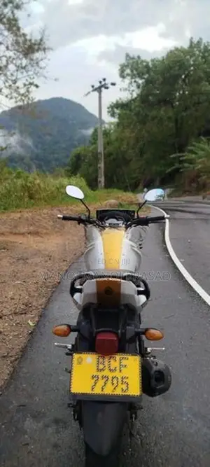 Yamaha FZS V1 2015