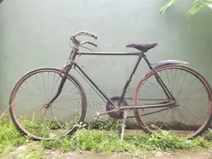 Standard Bicycle