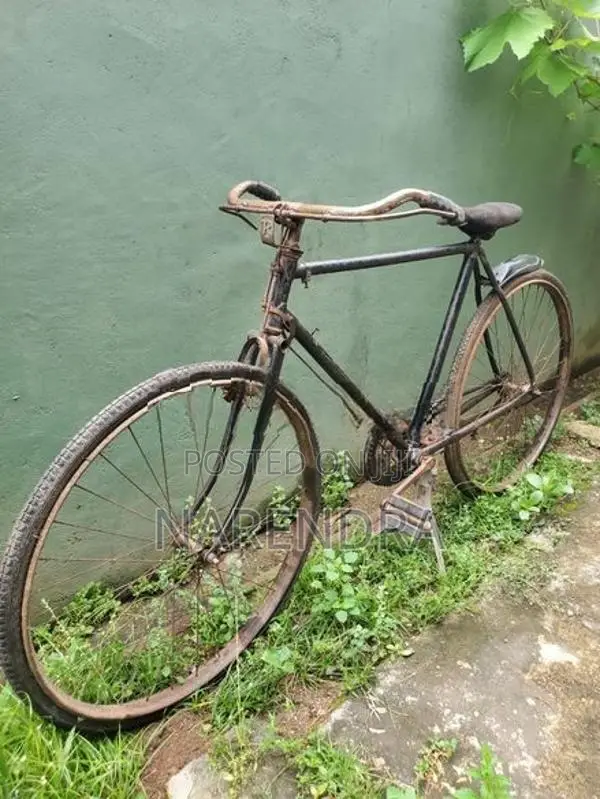 Standard Bicycle