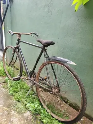 Standard Bicycle