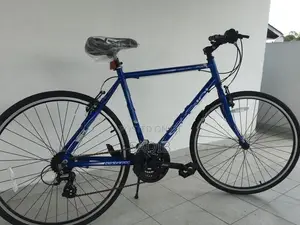 Bentini 700 Azzura Road Bicycle