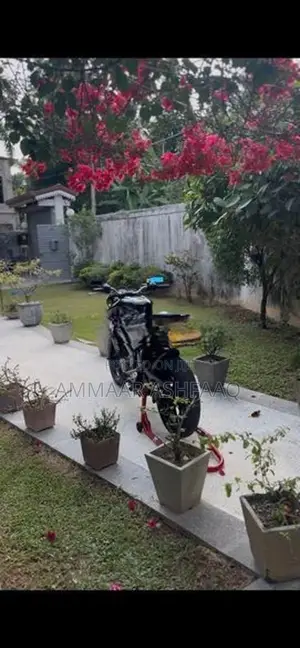 Bajaj Pulsar NS200 2017