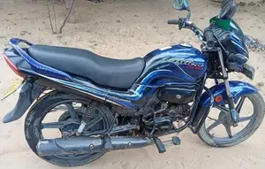 Hero Passion pro 2010
