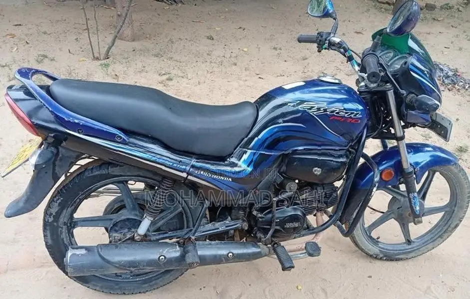 Hero Passion pro 2010