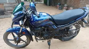 Hero Passion pro 2010