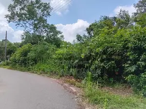 කැකණදුර දුම්රිය ස්ථානයට ආසන්නව අගනා බිම් කොටසක්