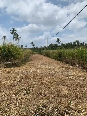 Land For Sale Kurunegala
