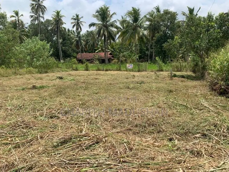 Land For Sale Kurunegala