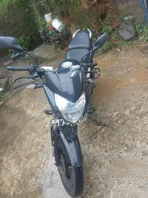 Bajaj Pulsar 135 2011