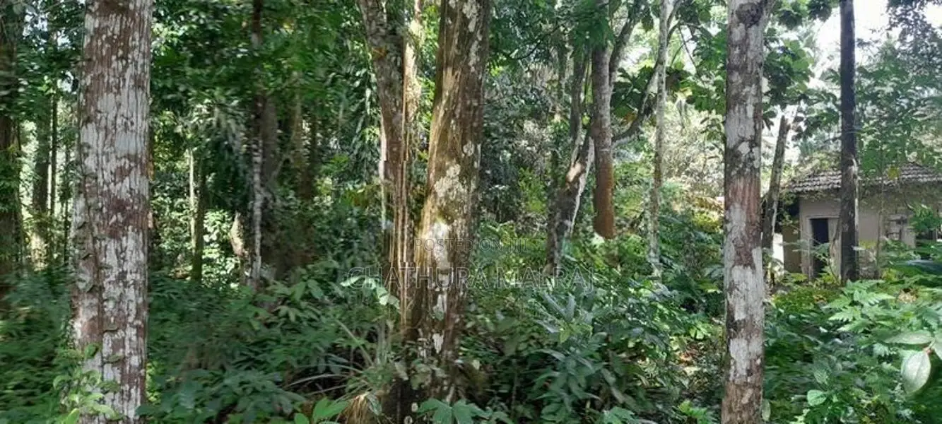 නේවාසික විශාල බිම් කොටසක්