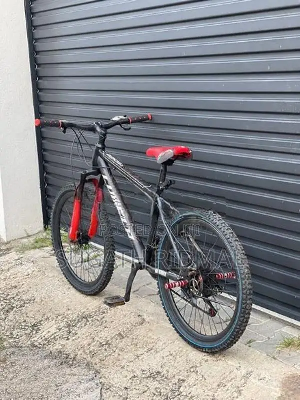 Lumala Luamal Bicycle 24”