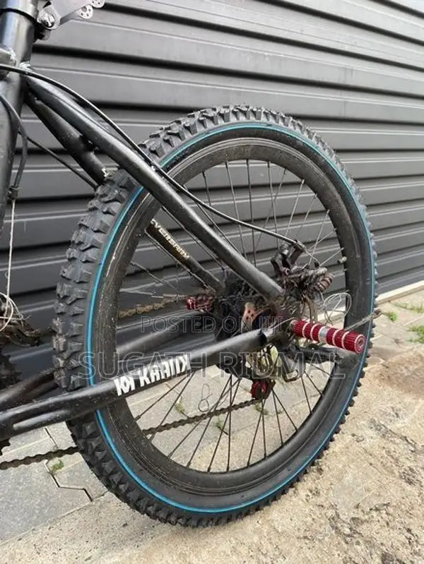 Lumala Luamal Bicycle 24”