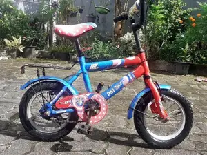 Dsi Kids Bike