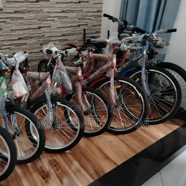 DSI Bicycle