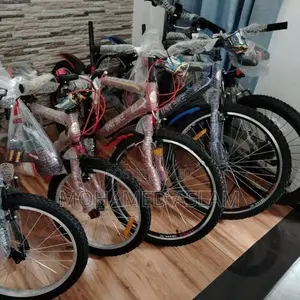 DSI Bicycle