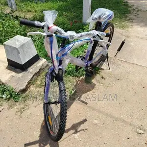 DSI Bicycle