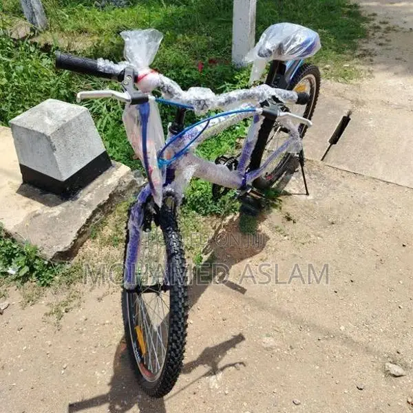 DSI Bicycle