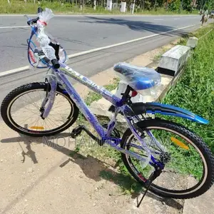 DSI Bicycle