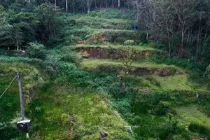 40-Perch Bare Land for Sale | Nuwara Eliya
