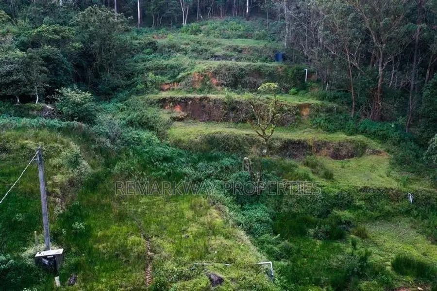 40-Perch Bare Land for Sale | Nuwara Eliya