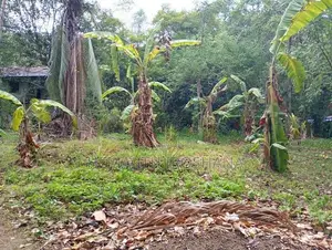 Land For Sale Obbegoda In Monaragala