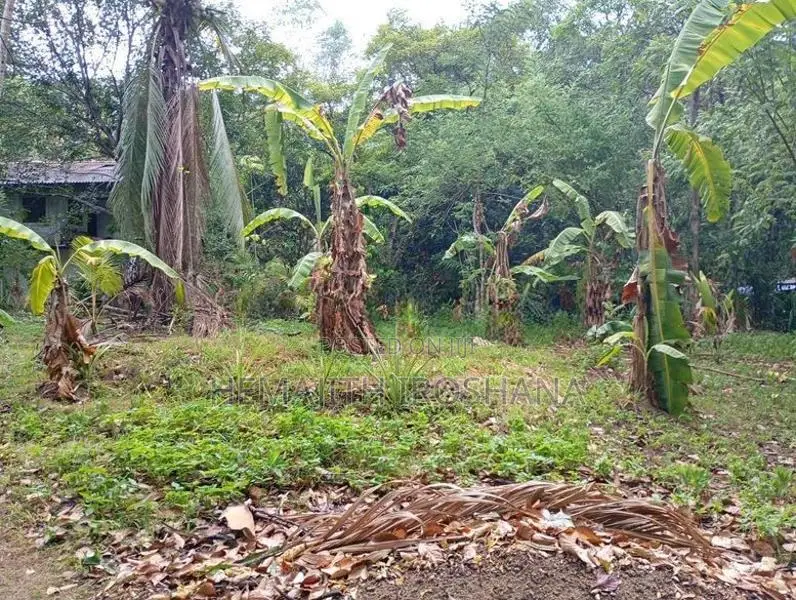 Land For Sale Obbegoda In Monaragala