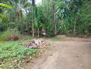 Land For Sale Obbegoda In Monaragala