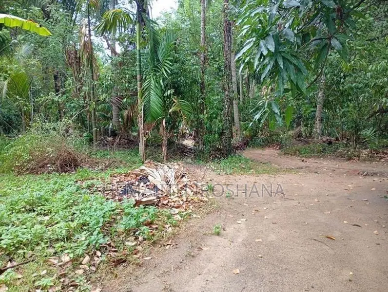 Land For Sale Obbegoda In Monaragala