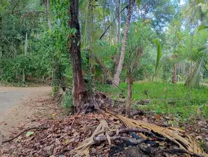 Land For Sale Obbegoda In Monaragala