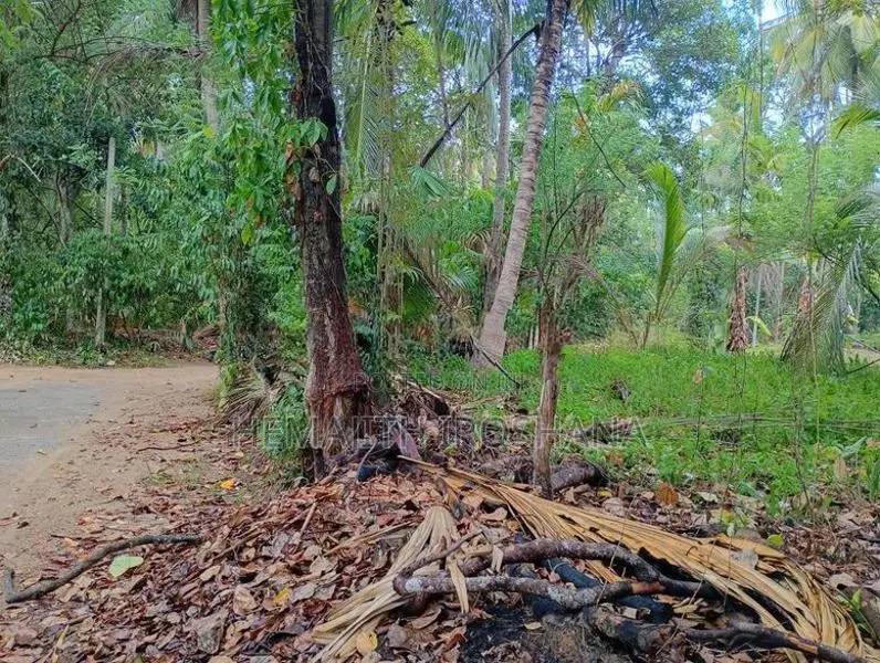 Land For Sale Obbegoda In Monaragala