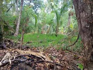 Land For Sale Obbegoda In Monaragala